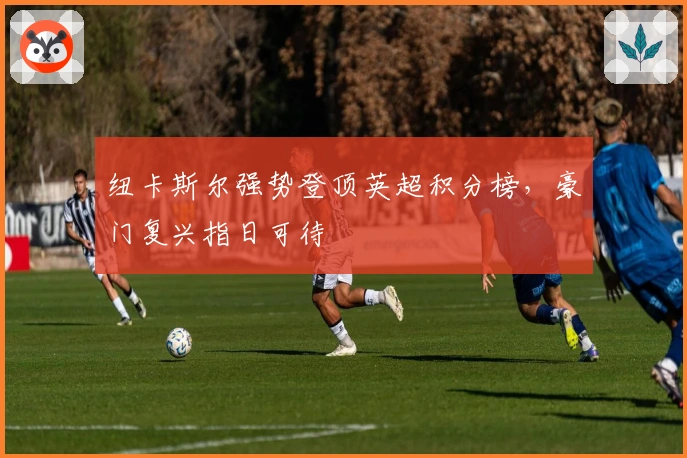 纽卡斯尔强势登顶英超积分榜，豪门复兴指日可待